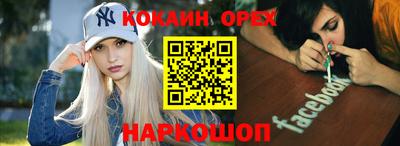 mdma Гатчина