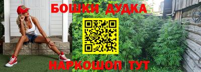 mdma Гатчина