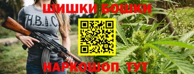 mdma Гатчина