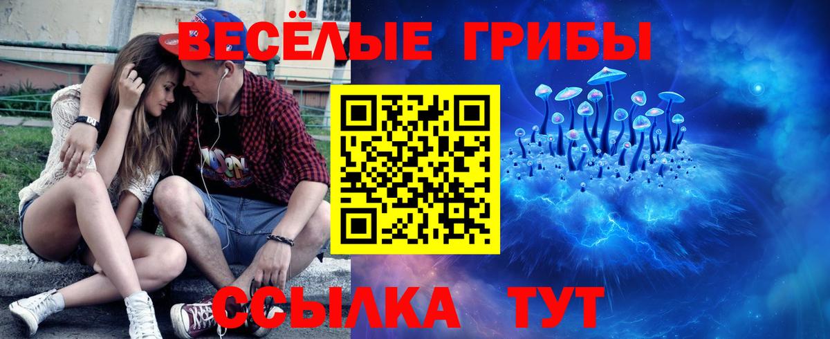 Псилоцибиновые грибы MAGIC MUSHROOMS  Галлюциногенные грибы прущие грибы  Волхов  Вход с VPN 